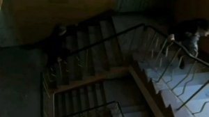 Лиля навсегда