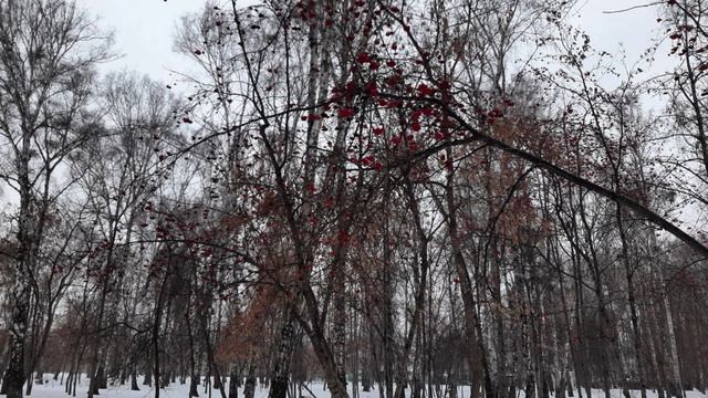 Противоречит ли Учение Радугимира существующим религиям смотреть онлайн