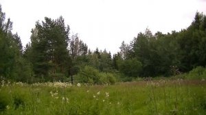 Надина косынка