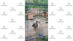 Завод опор освещения «Точка опоры» провел благотворительную акцию