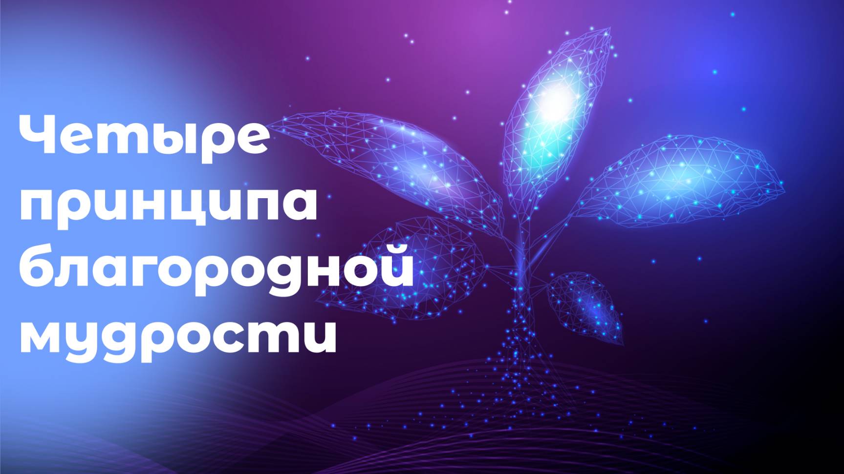 003. Четыре принципа благородной мудрости / просветление самопознание медитация (Роберт Адамс)