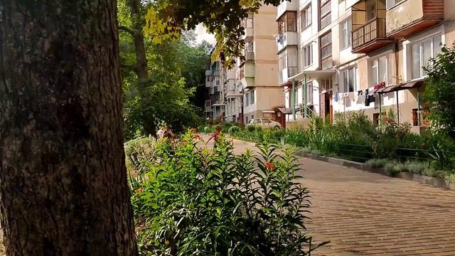 Моя девочка!!! Час "за рулём" уже успехи !!! смотреть онлайн