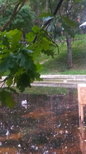 Лето на Финском заливе смотреть онлайн