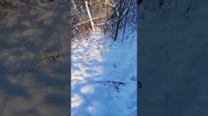позитивчик🎼