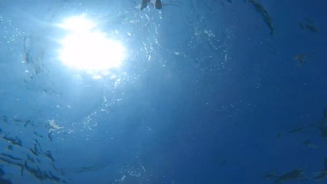 Aerial footage of Lime Cay, true paradise near Port Royal, Jamaica смотреть онлайн