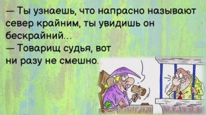 Юмор, шутки, весёлые 😂 картинки для хорошего настроения❗️