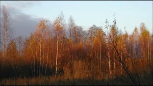 Иеромонах Роман. «Вся Росiя стала Полем Куликовым»