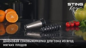 Мясорубка STINGRAY ST-MG2502C full