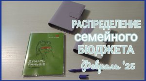 Система конвертов.Распределение семейного бюджета.Февраль '25