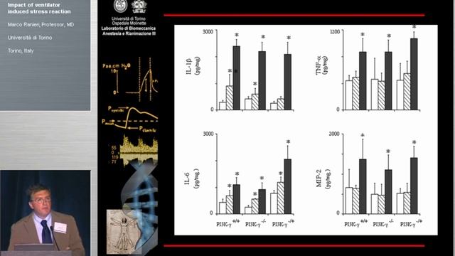 Ventil induced stress reation M.Rraneri (2004)