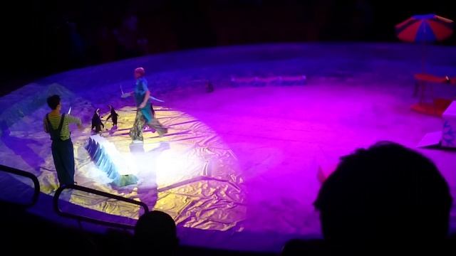 Пингвинчики