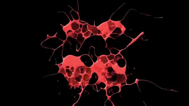 Dany Cohiba - Black Or White (Mr. Root Remix) смотреть онлайн