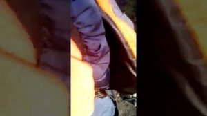 SCP 096 скромник (на русском)