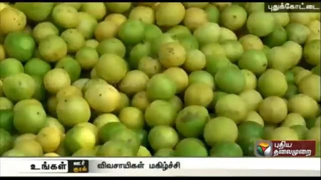Farmers in Pudukottai pleased with the increase in price of lime