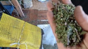 гильотины .станок для измельчения травы траворезка.