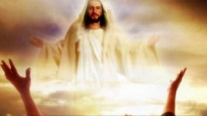 Как цветок полевой