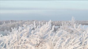 Сильные заморозки пришли под конец зимы в Вологодскую область