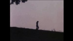 альянс - на заре (slowed + reverb)