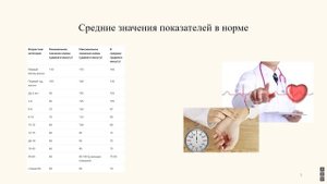 Лекция сердечно-сосудистая система