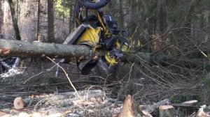 Timberjack 1270D harvester in winter forest