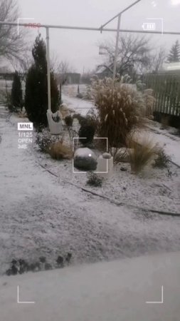 Скоро весна а мы снег только увидели