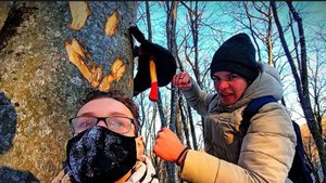 Эта находка в Лесу повергла нас в ШОК....