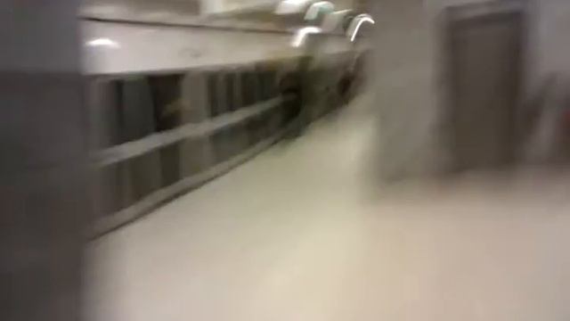 Депешеву! - Поездка в паравозе 2 смотреть онлайн