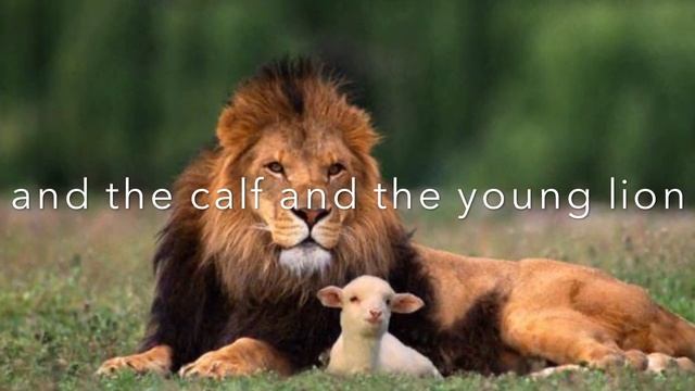 Scripture Memory 365 Day 11/6 Isaiah 11:6 смотреть онлайн