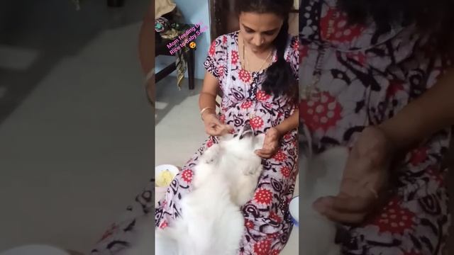 Mom feeding Dal Rice to Baby Saira