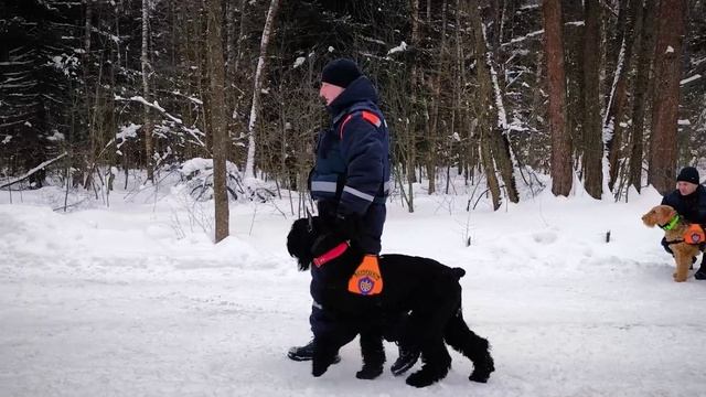 23 ФевраляМособлпожспас