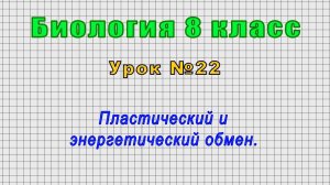 Биология 8 класс (Урок№22 - Пластический и энергетический обмен.)