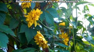 Ой Дуся, ой, Маруся / Ирина Брагина