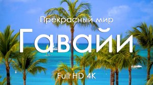 Гавайи: Курорт Жемчужина – Морская бухта | Музыкальное путешествие | 4K Ultra HD 1080