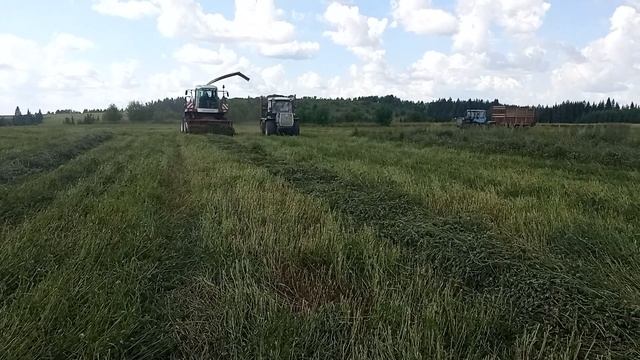 Люцерна на силос 2022.#заготовкасилоса#трактор #сельхозтехника #лето #комбаин#работа#уборка
