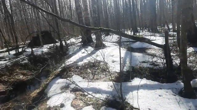 НАТУРАЛЬНОЕ УДОБРЕНИЕ ДЛЯ ХМЕЛЯ