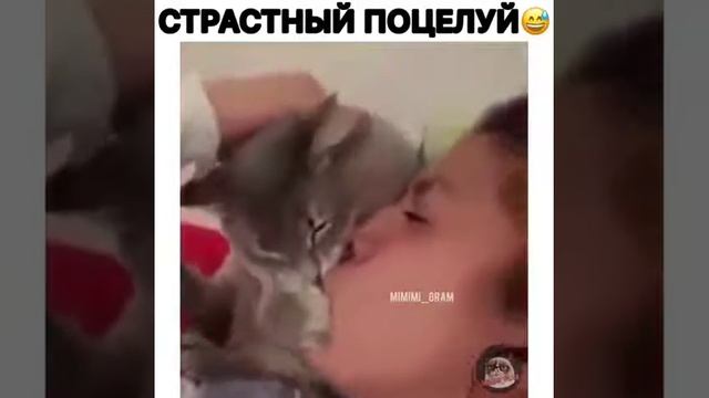 Страстный поцелуй смотреть онлайн