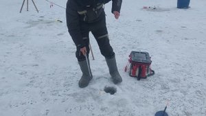 Поимки форели!!