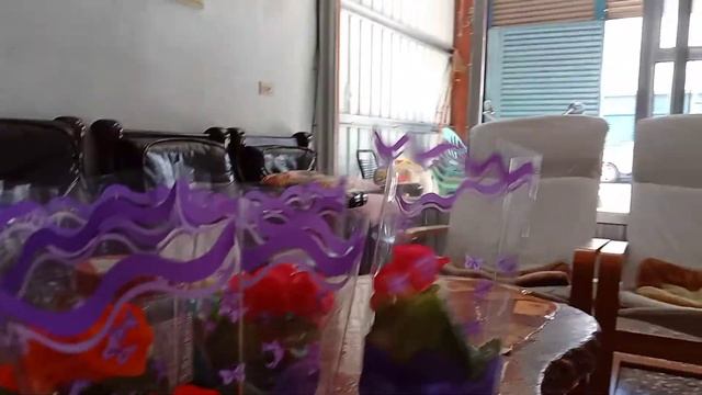 BUNGA GLOXINIA dari Amerika dan Brasil смотреть онлайн