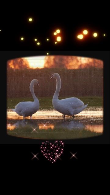 «Не бойся» Юрий Шатунов