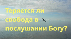 Каков итог соработничества человека Богу и принесения Ему плодов своей жизни?