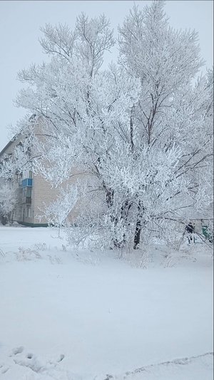 Утро в тумане