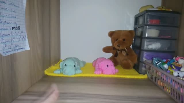 Обзор перестановки у сквиш собачек💖🐶 смотреть онлайн