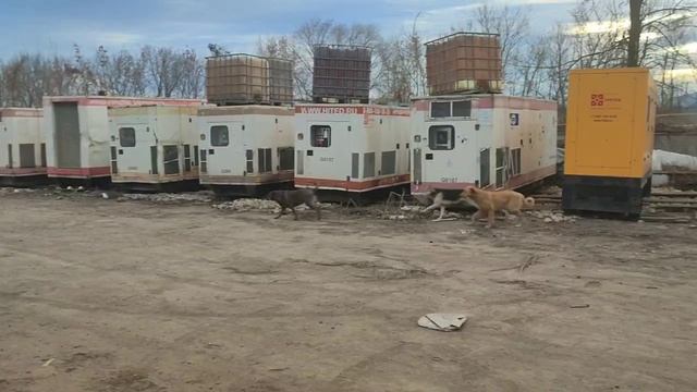 Сдам производственное помещение, 300 м² смотреть онлайн