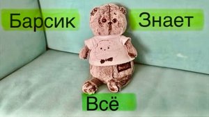 Блог моего кота