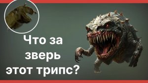 Влог! Прогулка в магазин «Садовод». Трипсы на адениумах. Какие они? 17 февраля 2025 г.