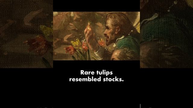 How tulips caused the first financial bubble #historyshorts #tulipmania #amsterdamholidays смотреть онлайн