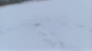 Без рыбный водоем говорили а рыба то есть "Щука" удивила