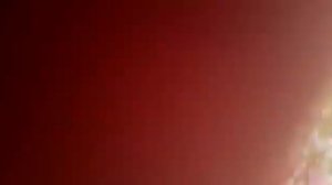 сбор клюквы ковшом