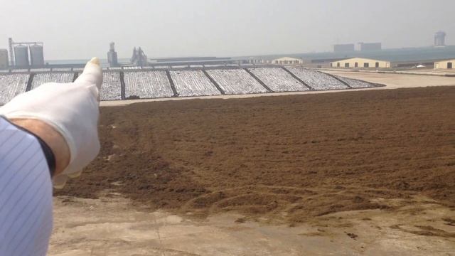 On top of the alfalfa - Himalaya смотреть онлайн