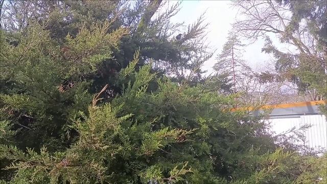 Горячий Ключ, курортная зона